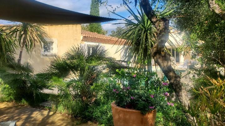 Le Clos Olives Comps  Exterior foto